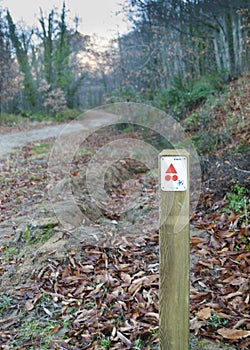 Route sign post red IMBA direction mark on forest hiking trail in autumn