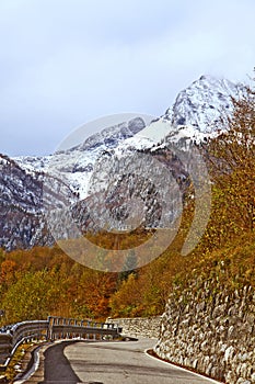 Route to Monte Croce Carnico pass, Alps, Italy