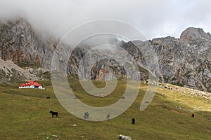 Route through the wonderful places of the Picos de Europa