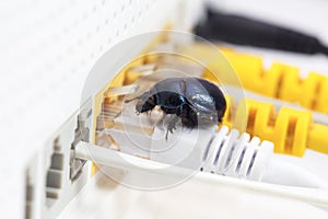 Router with internet cables and black bug.