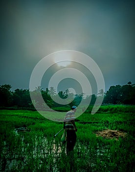 THE ROUTINE OF A FARMER