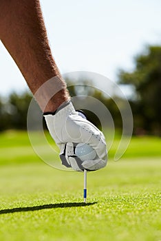 The routine before the hole. A golfer putting his tee into the ground on the golf course.