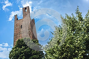 Rovigo historical tower photo
