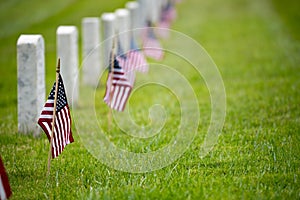 A row of American Flags and gravestones in a National Cemetery - Memorial Day