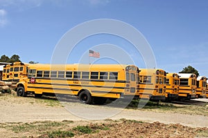 Row of American school busses, USA