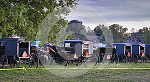 Row of Amish Carriages and Buggies at a Lancaster PA Event