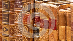 Row of ancient books with leather bindings