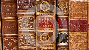 Row of ancient books with leather bindings