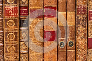 Row of ancient books with leather bindings