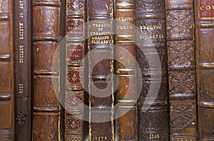 Row of Antique books on shelf