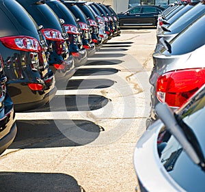 Row of Automobiles on a Car Lot