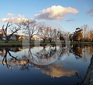 A row of bare trees and some white clouds mirror in the river in the evening in winter