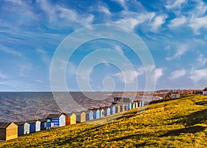 Row of beach huts along the coast in Tankerton, Whitstable, Kent. The green grass slopes are behind the huts and a man strolling