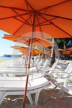 Row of beach umbrellas