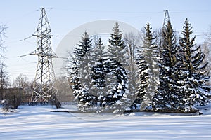 A row of beautiful snow-covered fir trees along the reservoir in winter. Beautiful winter landscape. High-voltage pole in the