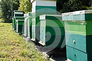row of beehives on apiary outdoors.