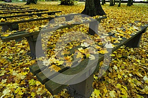 a row of benches in the park