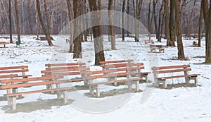 Row of benches in the park in winter time