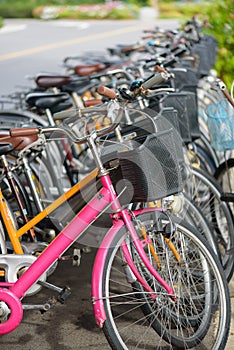 Row of Bicycle rentals