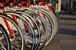 Row of bicycle wheels, headlights