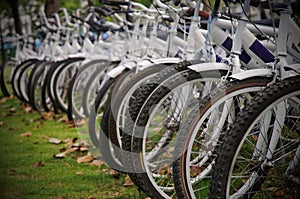 Row bicycles