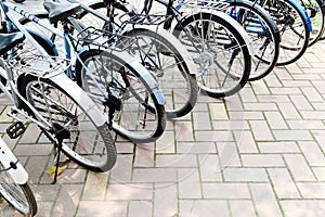 Row of bicycles