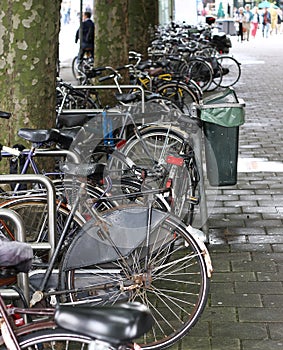 Row of bicycles
