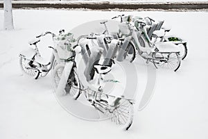 Row of bicycles covered with snow