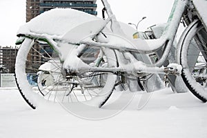 Row of bicycles covered with snow