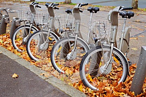 Row of bikes