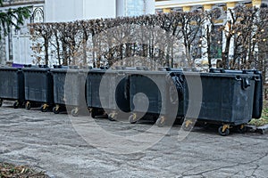 A row of black plastic garbage cans stand on gray asphalt