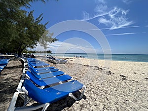 Sunloungers on Bahamas photo
