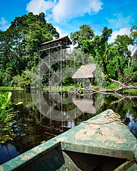 A row boat on a lake in the Amazon rainforest. Tambopata, Peru