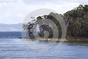 Row boat rests on shores of Daniels Bay in Tasmania