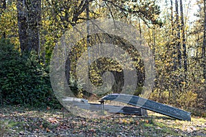 A row boat tied up on shore of a lake