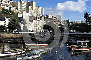 Row boats in harbor, Salvador, Brazil.