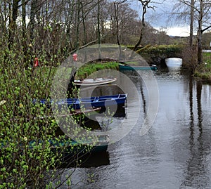 Row Boats and Skiffs in Killarney National Park
