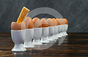 Row of Boiled Eggs in Egg Cups on a Table