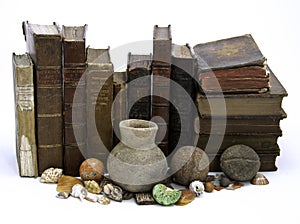 Row of Books and Artifacts