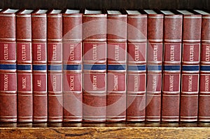 Row of books on a shelf with titles in English