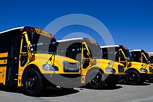 Row of Brand New School Busses at a Dealership