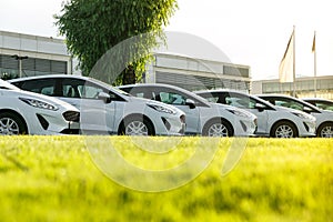 Row of brand new white cars in stock at the car dealership