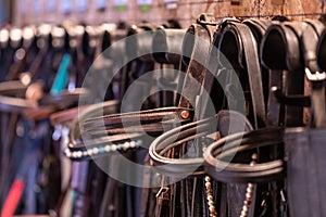 Row of bridles in a tack room on a horse riding farm