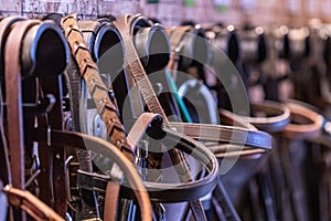 Row of bridles in a tack room of a horse riding farm