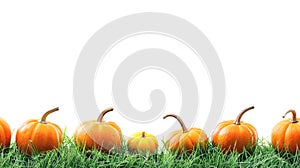 Row of bright orange pumpkins arranged on green grass isolated on white background symbolizing autumn and harvest season