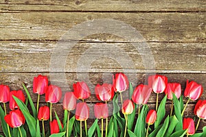 Row of bright rich red tulip flowers on stem. Wooden background with scopy text space. Welcome spring and summer. Mother`s Day ba