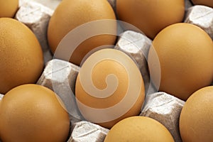 Row of brown chicken eggs in cardboard container. Healthy protein breakfast. Fresh raw organic chicken eggs with selective focus