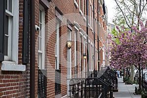 A row of brownstone buildings with gas lamp at each entrance in Manhattan, New York City. Spring with blooming tree in the city