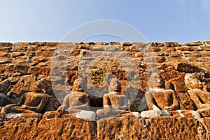 Row of buddha statues