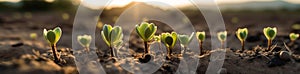 Budding Sprouts Out of Moist Soil - Generative AI